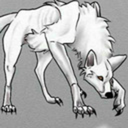 sick-wolf avatar