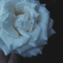 siddsthoughts avatar