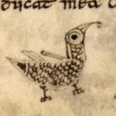 sidesaddle-queen avatar