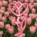 siennaseverino avatar