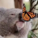 sigamos-siendo avatar