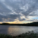 signpetitions avatar