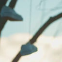 silence-of-stars avatar