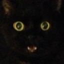 silentlittlejig avatar