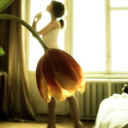 silhouettedance-blog avatar