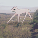 silly-head-billy avatar