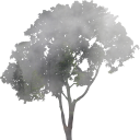 silvanebula-a avatar