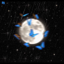 silver--m-o-o-n avatar