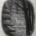 silverdoedefender-blog avatar