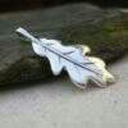 silveroakleafbearer avatar