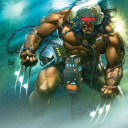 silverwolverinex avatar