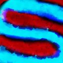 silvvexologist avatar