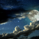 similar-insanity avatar