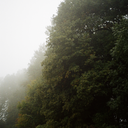 simonriegler-blog avatar