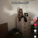 simp4fictionalmenandjesus avatar