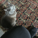 simple-witch-blog avatar