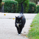 simplestuff9844 avatar