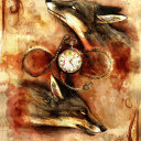 sincerelyawildthing avatar