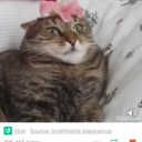 singsong-stuff avatar