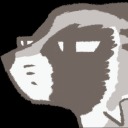 sinningraccoon avatar