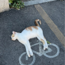 sircelebrimbor avatar