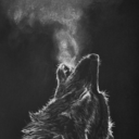 siriuslywolf avatar