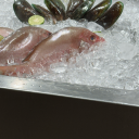 sitruunanmakuinenluumutomaatti avatar