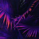 six-thirty-five avatar