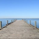 skadi-lothbrok avatar