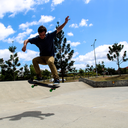 skate-landscape avatar