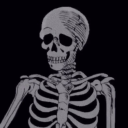 skeletal-sys avatar