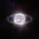 skeletonchild avatar