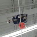 skeletons-of-walmart avatar