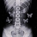 skeletonwar2020 avatar