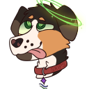 skipspuppy avatar