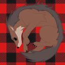 skullreblogstrash avatar