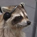 skunk-cryptid avatar