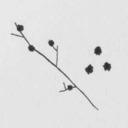 skystreamer24 avatar