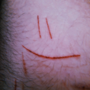 slashed-thighs avatar