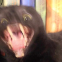 slasher-slater avatar