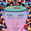 slavkokalegend avatar