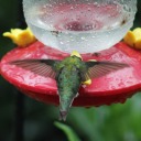 sleeping-beauty-universe avatar