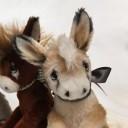 sleepingbythegrapevines avatar