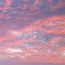 sleepingsnail avatar