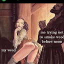 sleepingwiththealpacas avatar