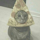 sleepissogood avatar