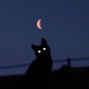 sleeplessspell avatar