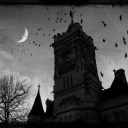 sleeplesstories avatar