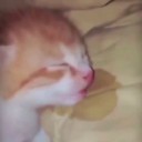 sleepy-head-5 avatar