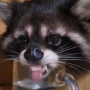 sleepy-kamren avatar